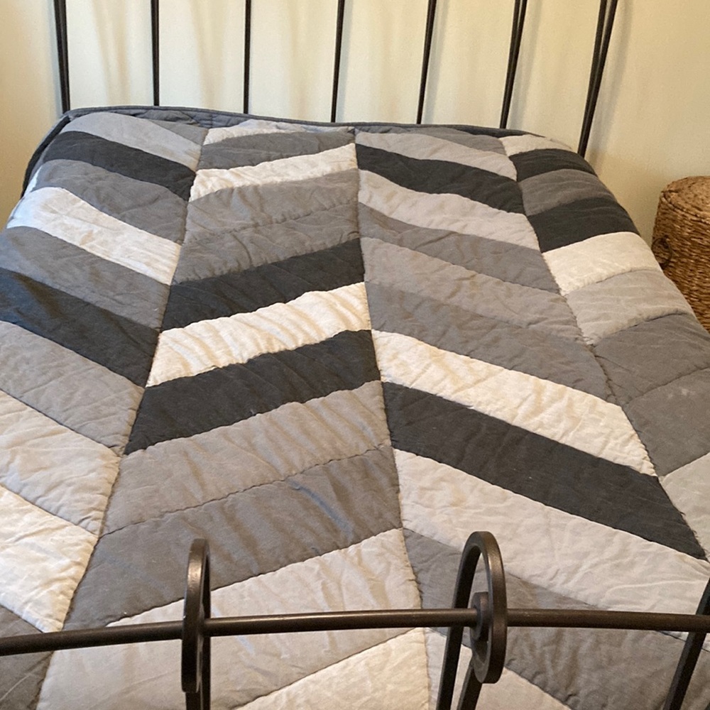 Pottery Barn Teen Comforter and Two Shams
